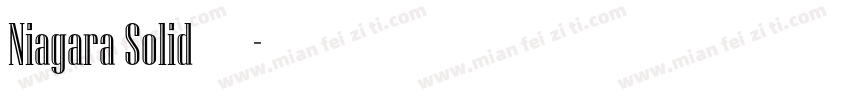 Niagara Solid字体字体转换